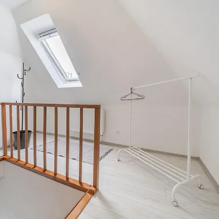 Rezidence Mahenova 3 Apartament Ostrawa